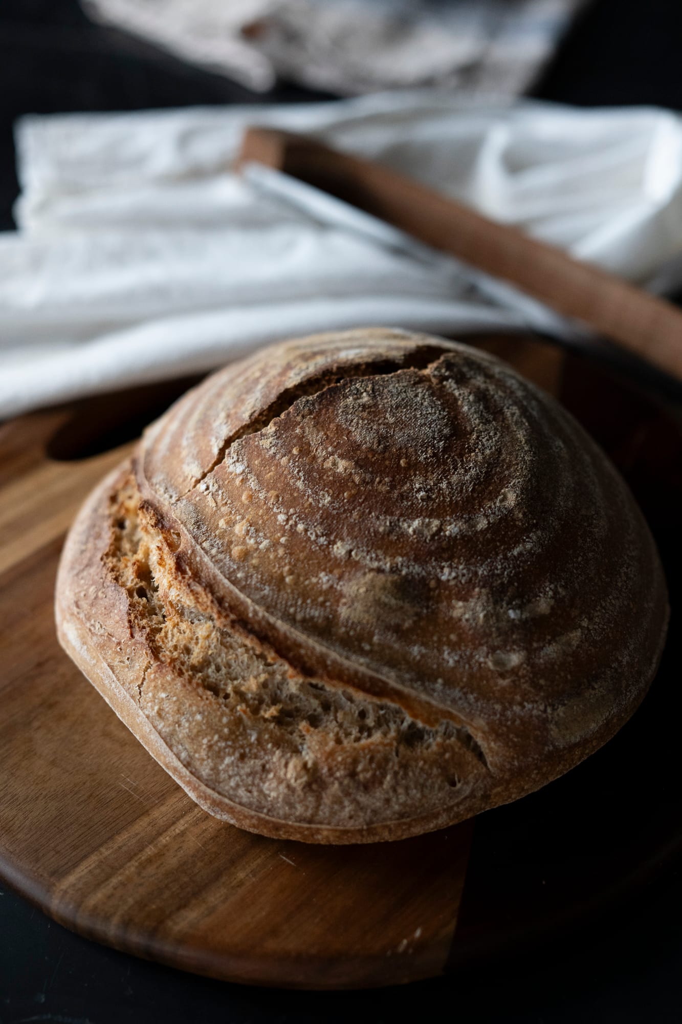 Parmesan Garlic and Herb Sprouted Sourdough